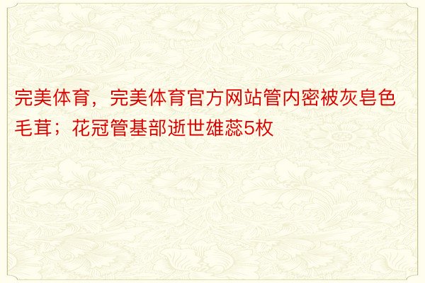 完美体育，完美体育官方网站管内密被灰皂色毛茸；花冠管基部逝世雄蕊5枚